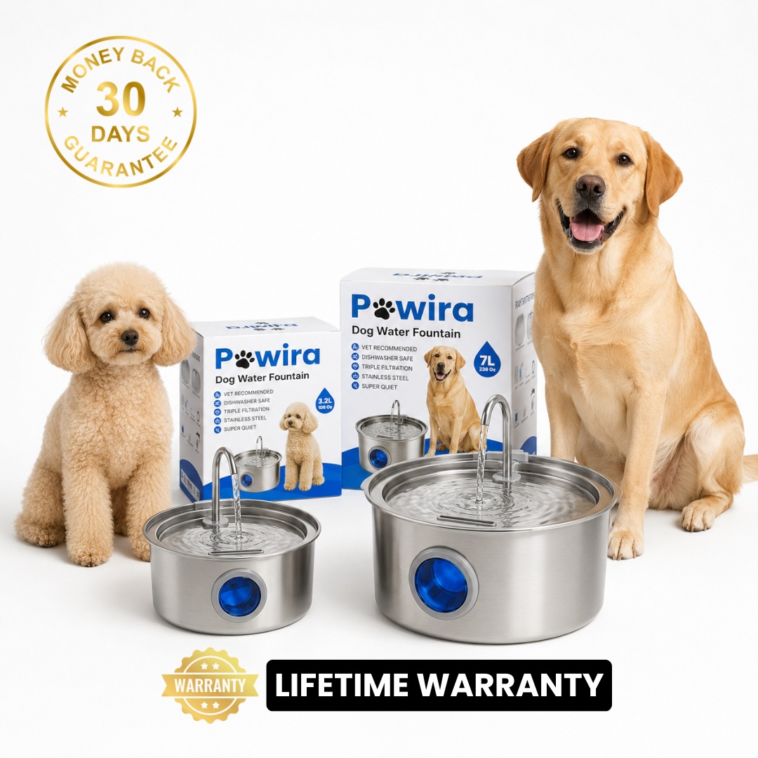Pawira™ Stainless Steel Dog Water Fountain